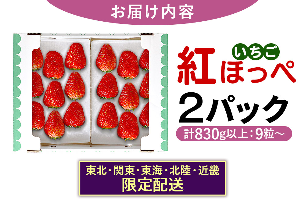 【東北・関東・東海・北陸・近畿 限定配送】いちご「紅ほっぺ」９粒～ (2パック計830g以上)【12月中旬から順次発送】イチゴ 苺 あまい １粒35g以上の特大粒を厳選 産地直送ならではの大きさと赤さ 一般市場には流通しない厳選のいちご 数量限定