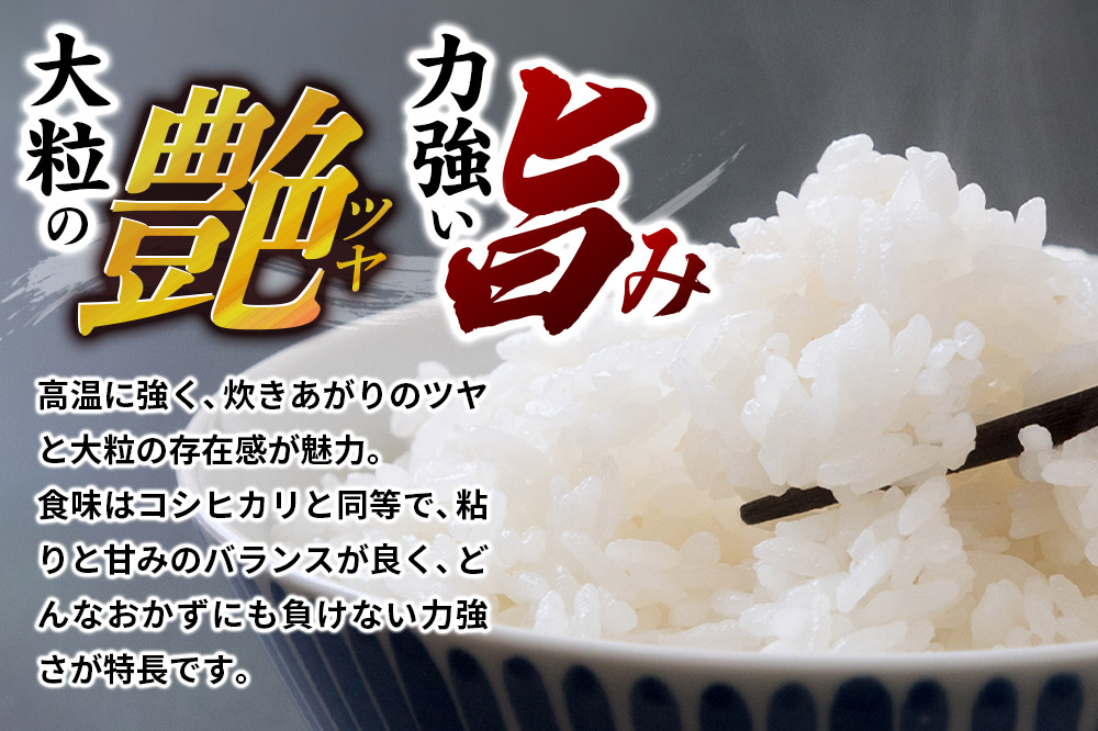 令和7年産【白米】群馬県 板倉町産 にじのきらめき 5kg