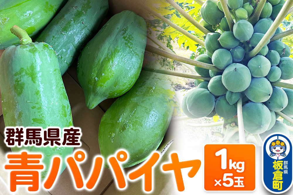 【発送期間限定】青パパイヤ 5kgセット（1kg×5玉）群馬県産 国産 フルーツ 果物 南国 トロピカル