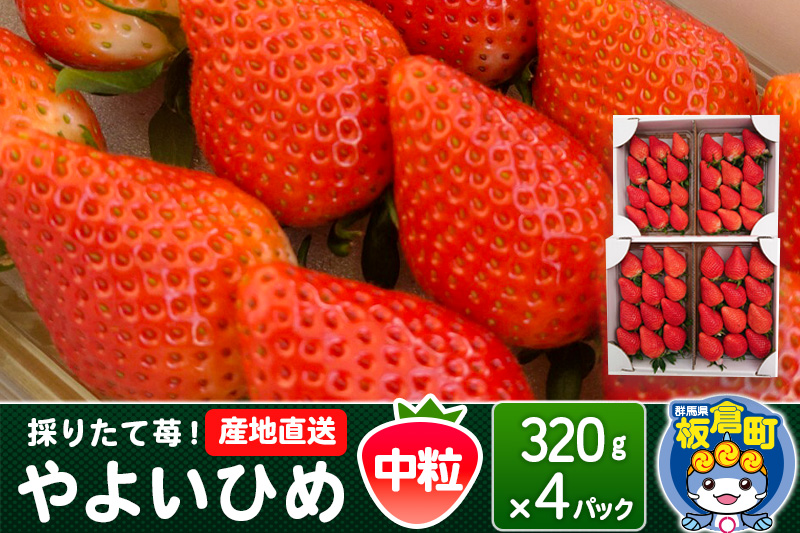 いちご（やよいひめ）中粒 4パック 採りたて苺！産地直送 イチゴ ストロベリー 生