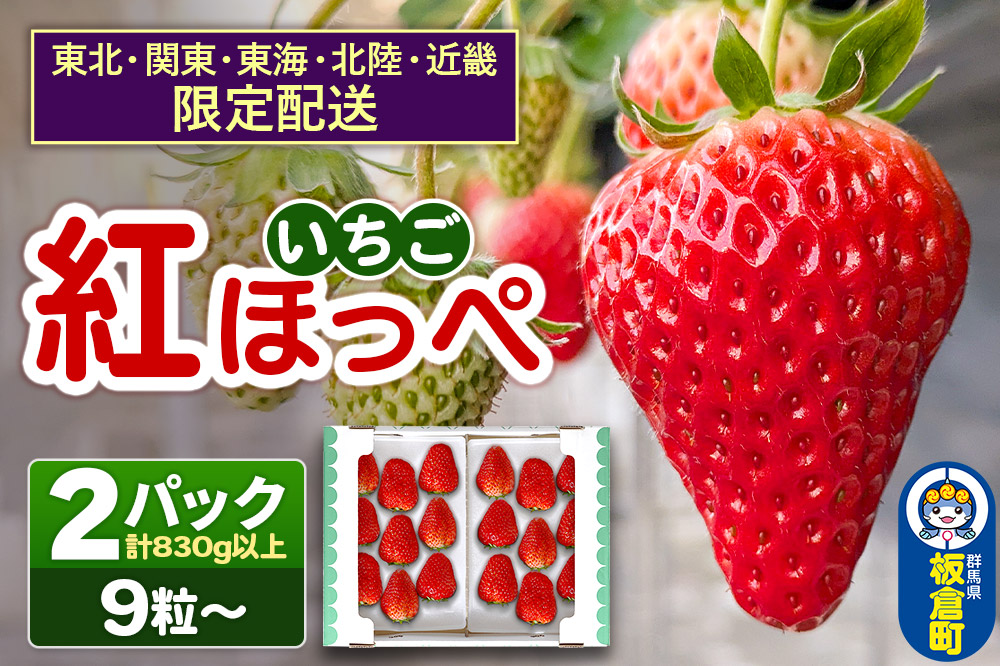 【東北・関東・東海・北陸・近畿 限定配送】いちご「紅ほっぺ」９粒～ (2パック計830g以上)【12月中旬から順次発送】イチゴ 苺 あまい １粒35g以上の特大粒を厳選 産地直送ならではの大きさと赤さ 一般市場には流通しない厳選のいちご 数量限定