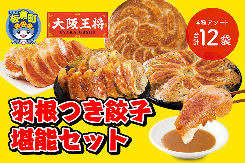 大阪王将 羽根つき餃子堪能セット(4種アソート)計12袋
