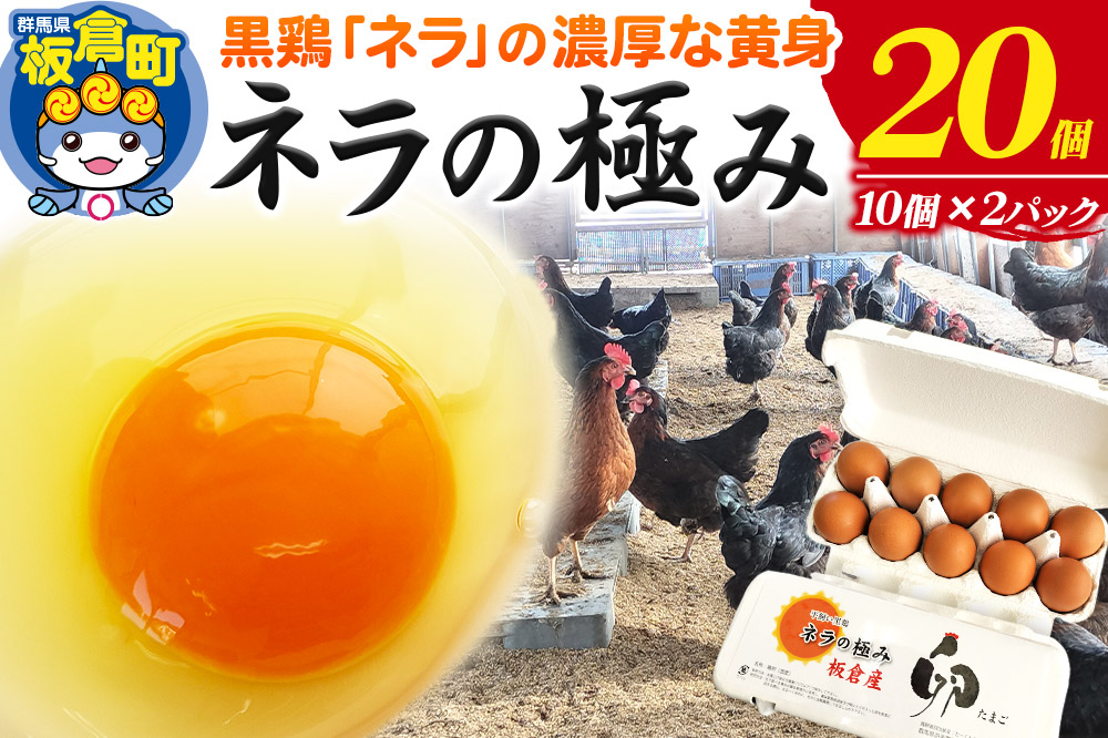 ネラの極み 卵 たまご 20個（10個×2パック）