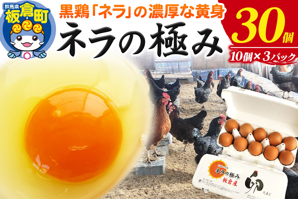 ネラの極み 卵 たまご 30個（10個×3パック）