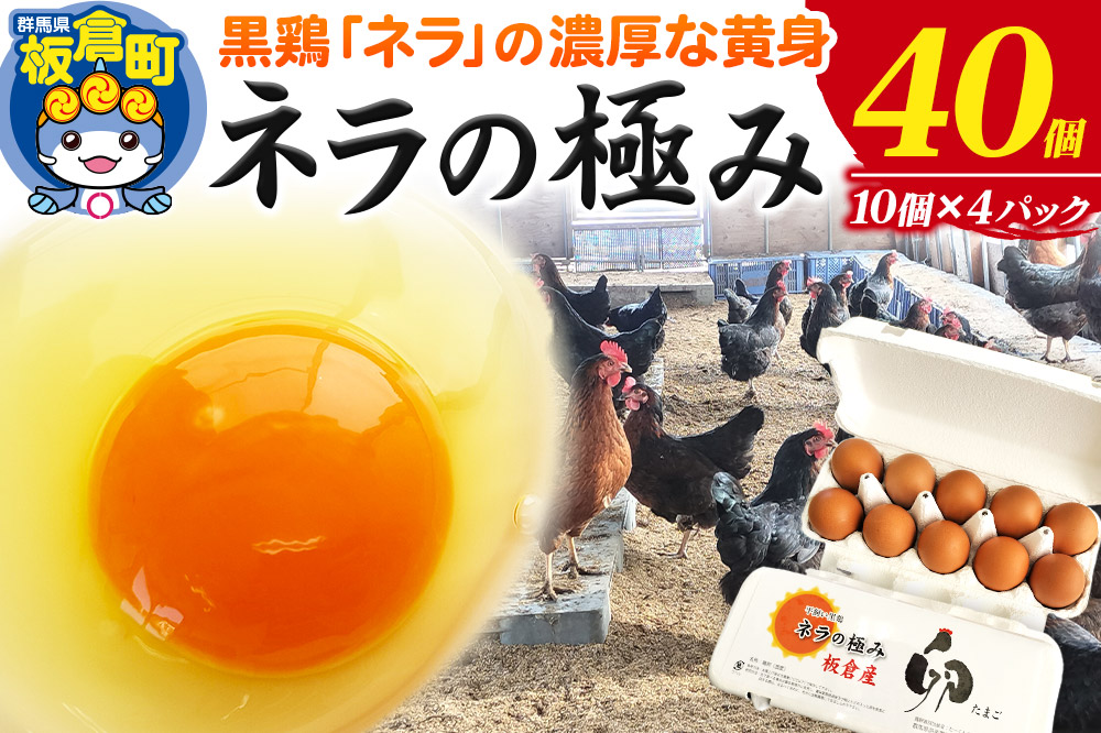 ネラの極み 卵 たまご 40個（10個×4パック）
