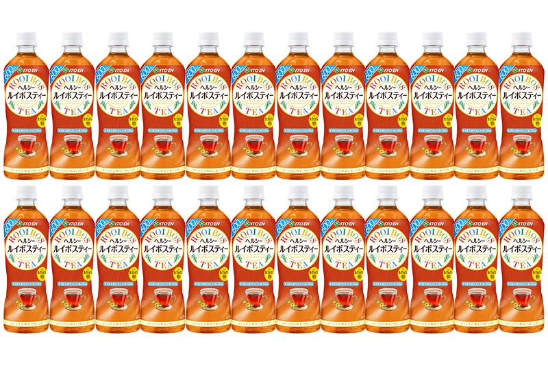 伊藤園 ヘルシー ルイボスティー ＜600ml×24本＞【2ケース】