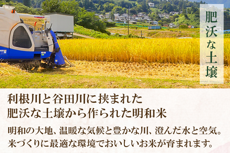 【白米】群馬県明和町産 令和7年産 にじのきらめき 10kg（5kg×2袋）