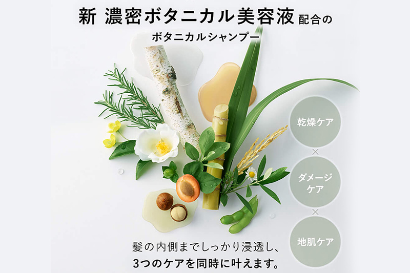 BOTANIST ボタニスト ボタニカル シャンプー＆トリートメント 大容量詰替セット【モイスト】: 明和町ANAのふるさと納税