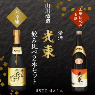 日本酒 大吟醸 清酒 【光東】 地酒 セット 群馬県 千代田町 ＜山川酒造＞