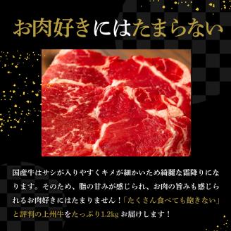 牛肉 サーロイン 【上州牛】 約1.2kg (約200g×6枚) 群馬県 千代田町