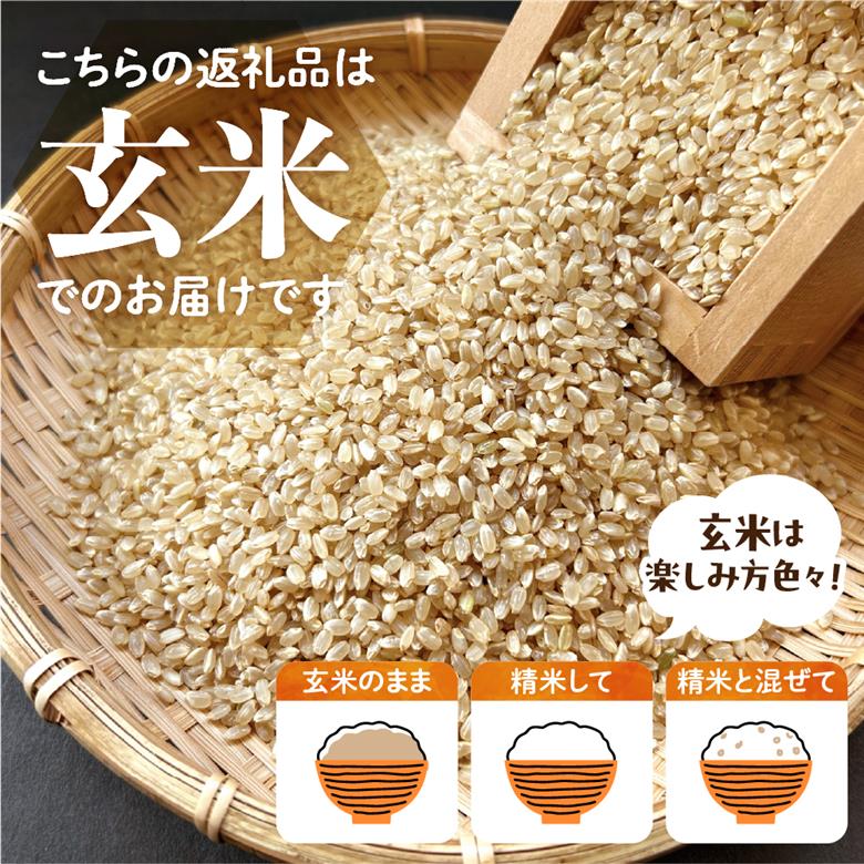 2026年4月発送【令和7年度産】群馬県千代田町産 あさひの夢 5kg×1袋 (玄米) 群馬県 千代田町