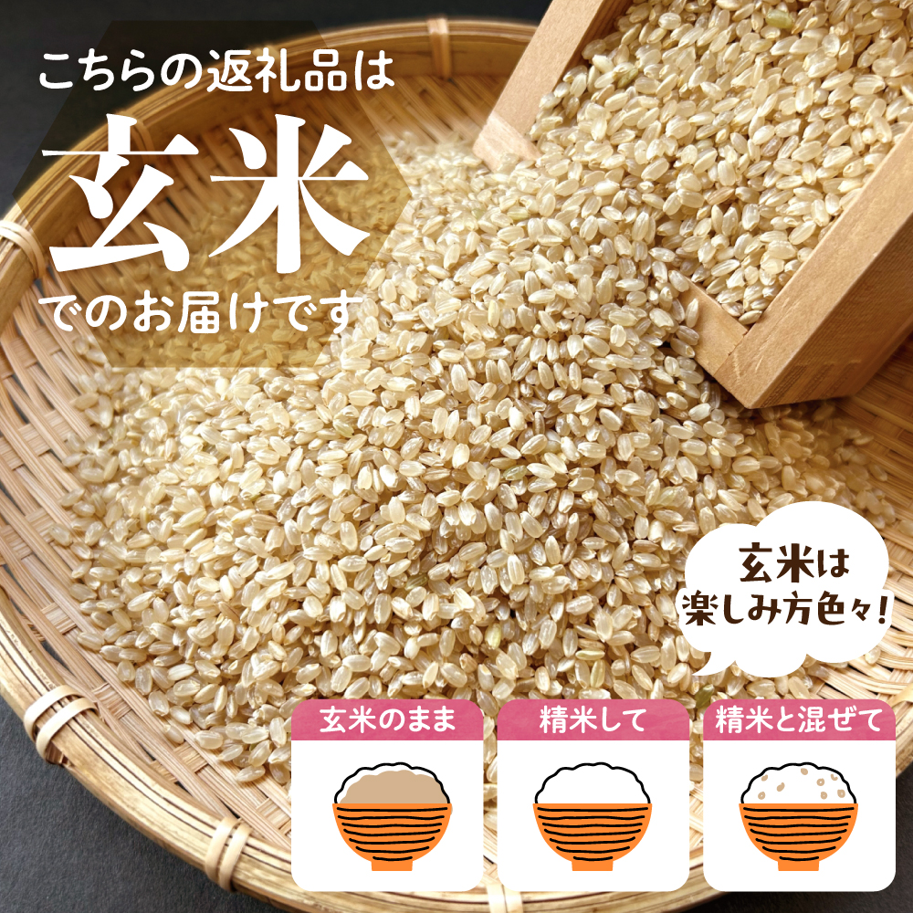 2026年5月発送【令和7年度産】群馬県千代田町産 にじのきらめき 5kg×2袋 (玄米) 群馬県 千代田町