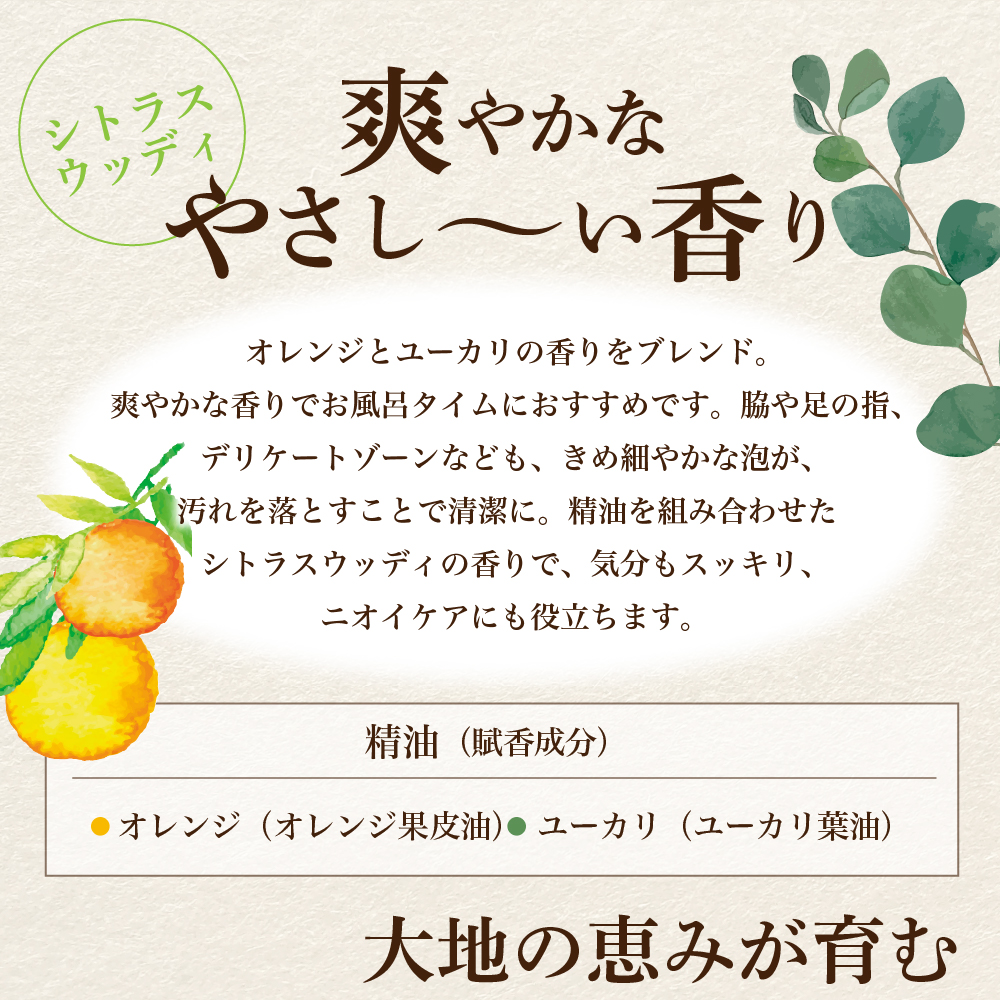 モイスト ボディ ウォッシュ 500ml×2本 セット ハグム 群馬 県 千代田町 〈アペックス〉