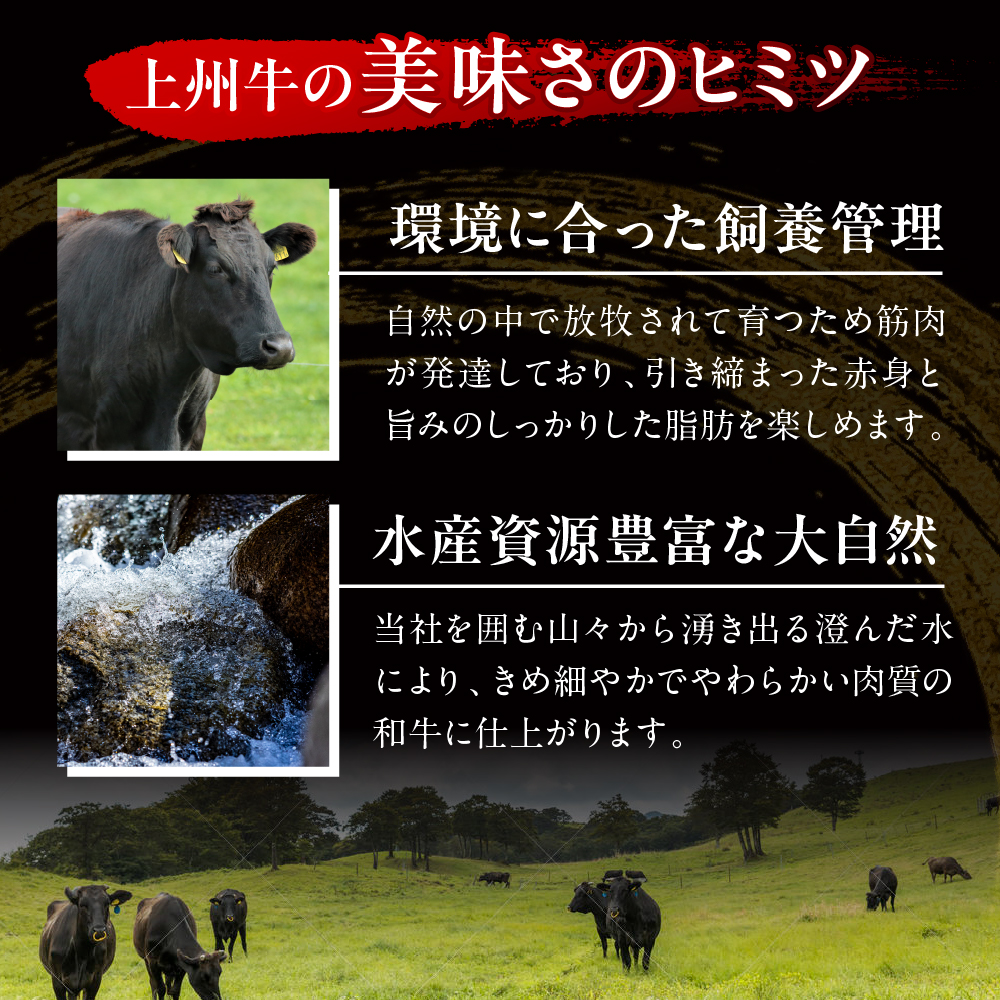 上州牛 カタ肉　薄切り大判（すきやき、焼肉等） 2.4kg(600g×4P) 群馬 県 千代田町