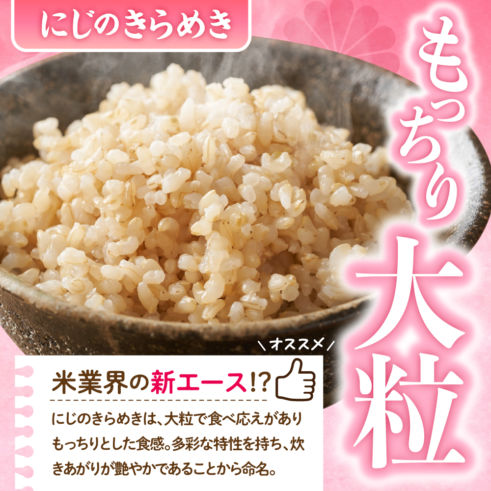 2026年4月発送【令和7年度産】群馬県千代田町産 にじのきらめき 5kg×2袋 (玄米) 群馬県 千代田町