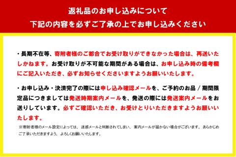 千代田 ブレンド コーヒー ドリップバッグ3個セット 群馬 県 千代田町