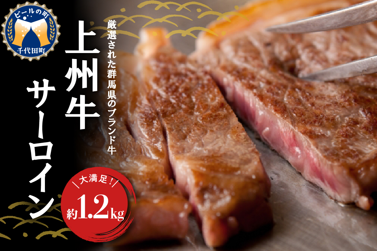 牛肉 サーロイン 【上州牛】 約1.2kg (約200g×6枚) 群馬県 千代田町
