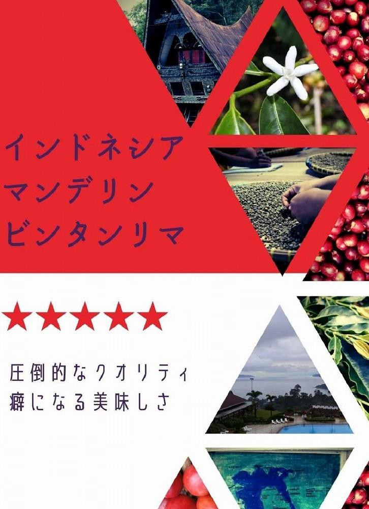 世界のコーヒー季節のオススメ　飲み比べ３ヵ国セット　『豆』　100ｇ×３ヵ国
