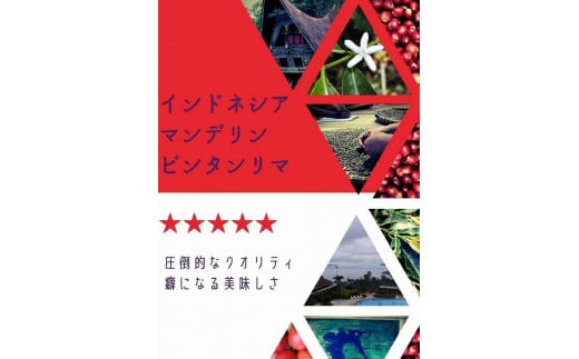 世界のコーヒー季節のオススメ　飲み比べ３ヵ国セット　『粉』　100ｇ×３ヵ国