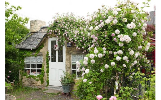 七五三・成人式・家族写真など思い出を特別な写真でお届け　ツキオカ写真館で使える5,000円分チケット