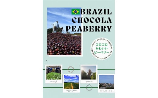 【ブラジルの香りをお届け！】ブラジルコーヒー『粉』飲み比べ3種約300gセット (ショコラピーベリー・カラメリッチS１８・ブルボンアマレロ　ボンジャルディン農園：各約100ｇ)