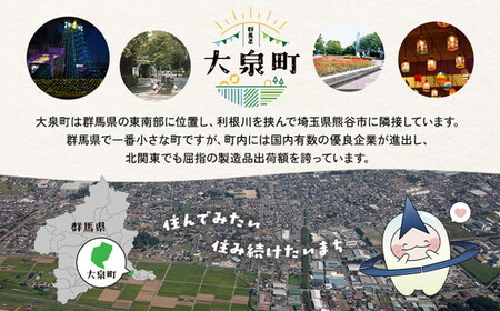 【9か月定期便】 サントリー　からだを想うオールフリー（500ml×24本）（萩原酒店）