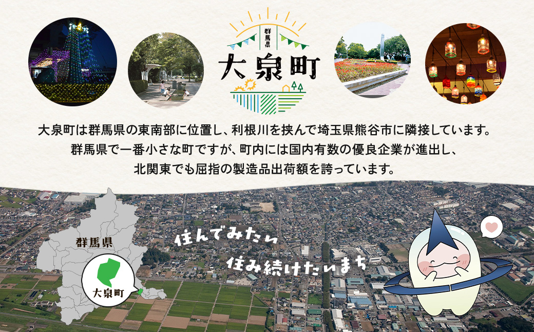 サントリー　ザ・プレミアム・モルツ 2箱セット（500ml×48本）