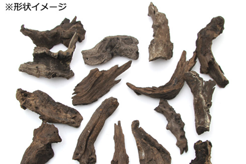 塊状流木 Sサイズ（約15cm～20cm）3個