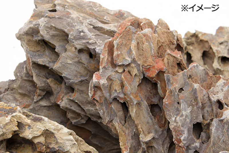 陽火石 サイズミックス（約5～30cm）10kg