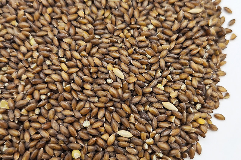 ムキシード 500g×1袋 サイトウ・コーポレーション 飼料