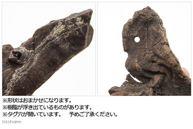 塊状流木 Sサイズ（約15cm～20cm）3個