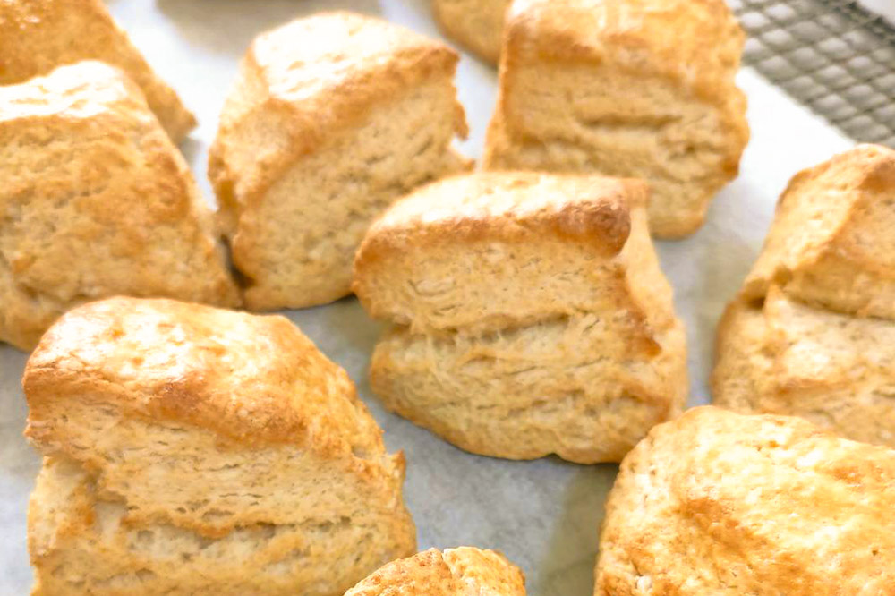 お菓子 全粒粉 スコーン 12個 入り セット