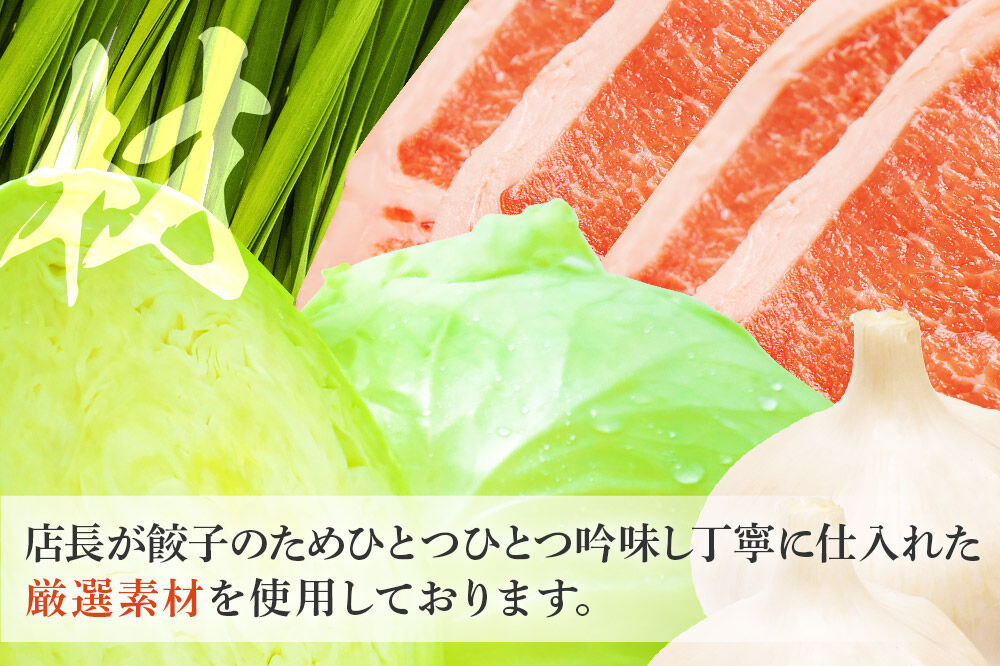 冷凍餃子8人前（計約1720g） [もちもち モチモチ 中華 惣菜 点心 餃子 ぎょうざ ギョウザ ギョーザ 野菜たっぷり 食べ応え 群馬県]