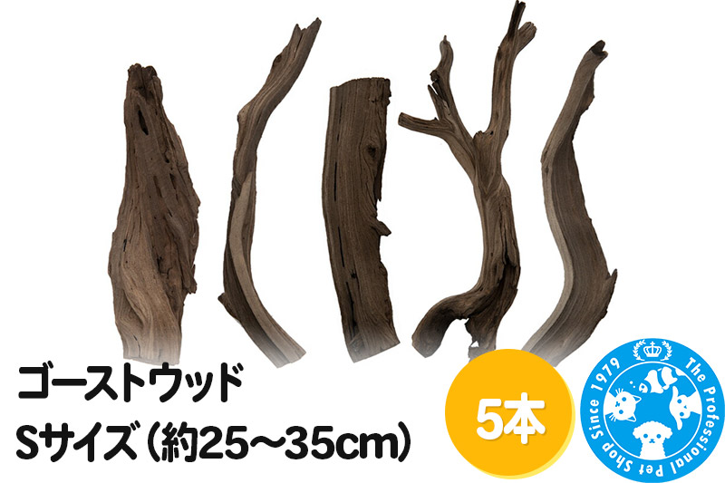 ゴーストウッド Sサイズ（約25～35cm）5本