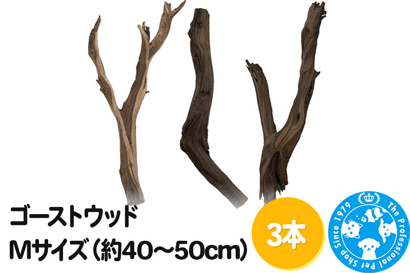 ゴーストウッド Mサイズ（約40～50cm）3本