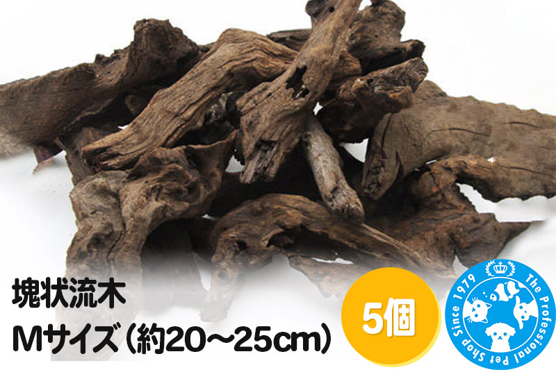 塊状流木 Mサイズ（約20～25cm）5個