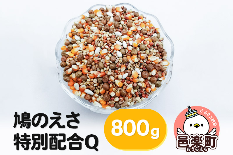 鳩のえさ 特別配合Q 800g×1袋 サイトウ・コーポレーション 飼料
