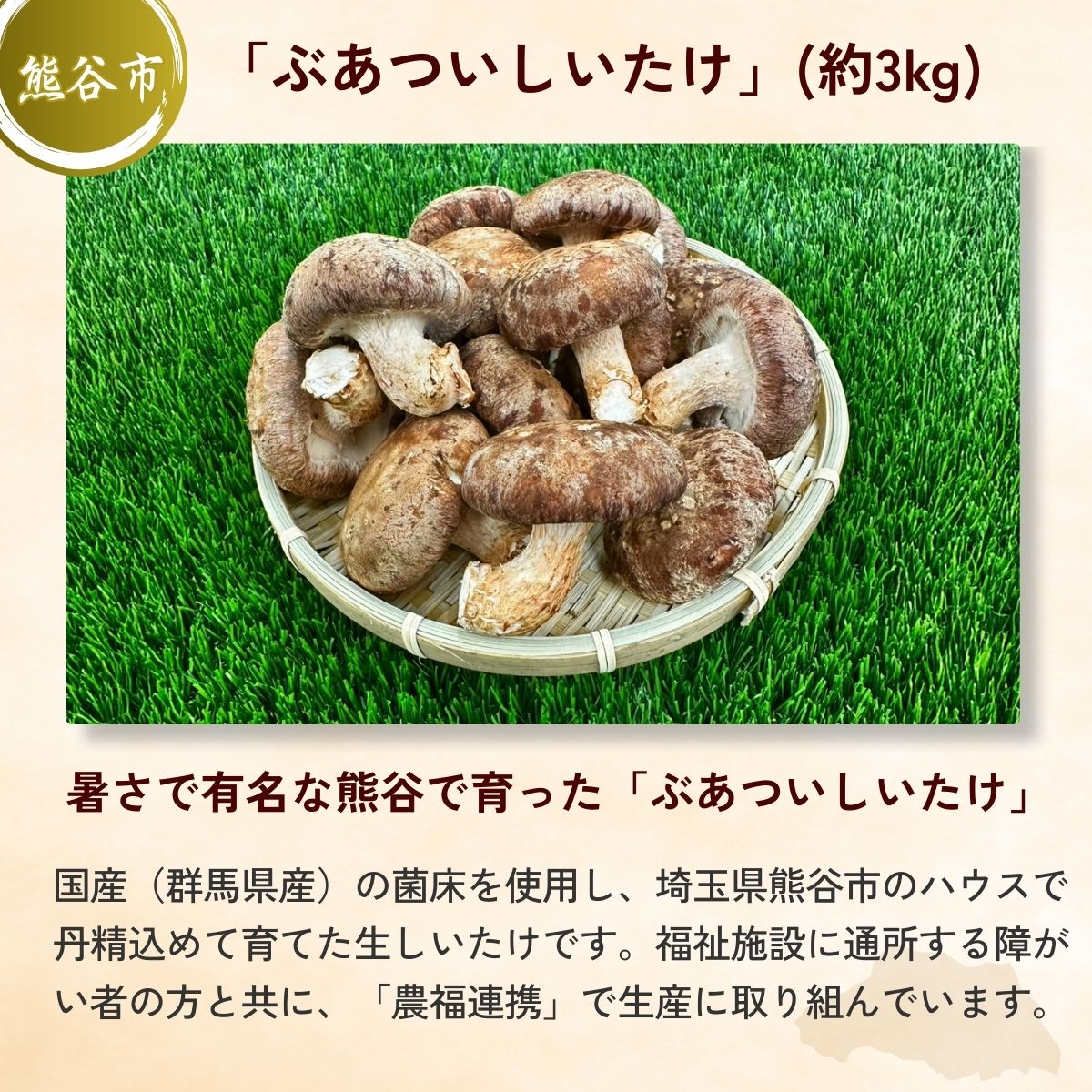 豪快しいたけBBQセット | しいたけ 椎茸 シイタケ 肉厚 ジューシー 牛肉 肉 スライス 切り落とし モモ ビール クラフトビール 埼玉県 埼玉県庁