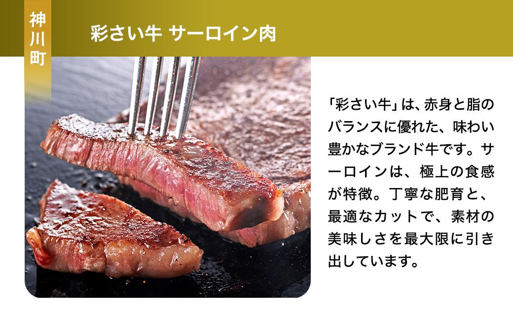 BBQ セット | 肉 お肉 牛肉 豚肉 サーロイン ステーキ ロース ロース肉 肩ロース カタロース バラ肉 バラ スライス 厚切り ソーセージ セット 埼玉県 埼玉県庁