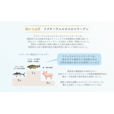 ドクターウェルネス ナチュラルマリンコラーゲン 60包(顆粒)