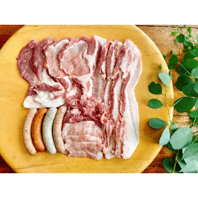 【小江戸黒豚】ご自宅用・BBQセット【配送不可地域：離島】