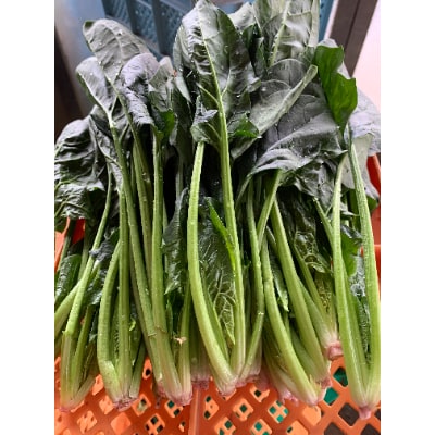 循環型農法 ほうれん草とねっとり里芋【配送不可地域：離島・沖縄県】