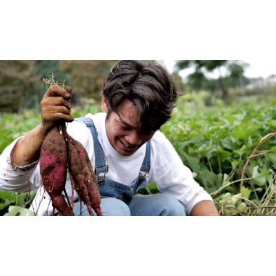 本格芋焼酎「風来」