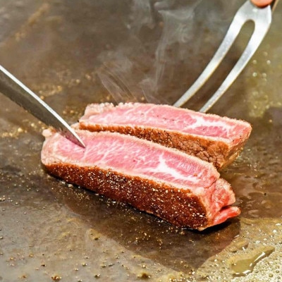 ステーキ磐梯2号店ペア食事券【海鮮付き和牛ロースとヒレのコース】