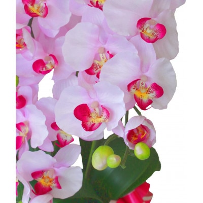 胡蝶蘭 造花 常滑産陶製鉢に入ったシルクフラワーの胡蝶蘭の鉢植 5本立 CT触媒 ライトパープル