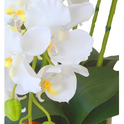 胡蝶蘭 造花 常滑産陶製鉢に入ったシルクフラワーの胡蝶蘭の鉢植 5本立 CT触媒 ホワイトイエロー