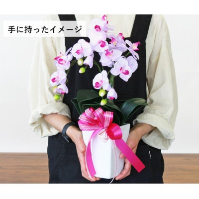 胡蝶蘭 造花 シルクフラワーのミニ胡蝶蘭の鉢植 3本立 CT触媒 ライトパープル