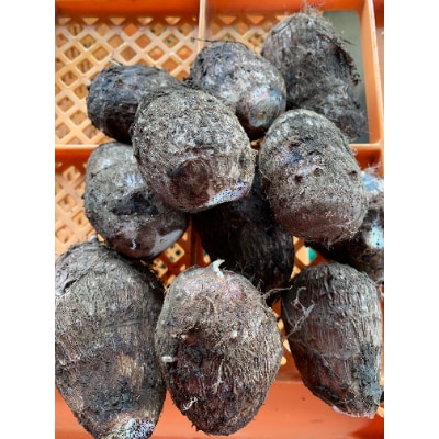 循環型農法 ほうれん草とねっとり里芋【配送不可地域：離島・沖縄県】