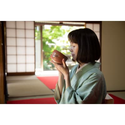 丹徳庭園　プラチナ優待券　1枚