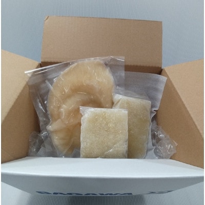 フカヒレ姿煮用詰め合わせ200g+スープ用フカヒレ100g×2袋【配送不可地域：離島】